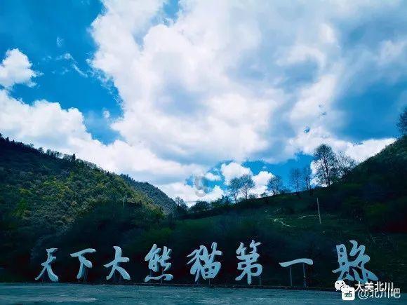 怀孕了 要注意什么呢-专业问答平台-解答您的疑问