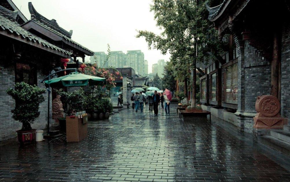 镜之边缘：催化剂